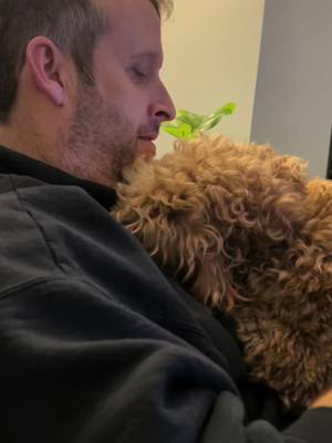 A post by @ml1980usa on TikTok caption: ❤️🐾LOVE🐾❤️ #mcl♾ #ml1980 #daisy🐾doodle #happy #positivevibes #Love #mydaisypuppy #dogdad #husbandwife #doglife #dogmom 