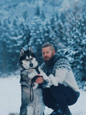 A post by @pilotviking on TikTok caption: #winterwonderland 💙🐺