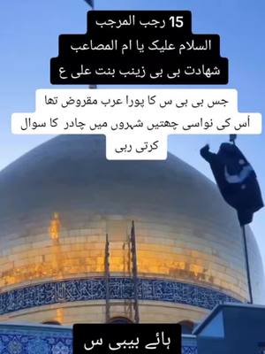 A post by @qaisarkazmi72 on TikTok caption: ہائے بی بی زینب علیہ السلام