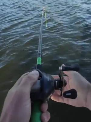 A post by @googansquadofficial on TikTok caption: Spoiler: that was not the target species 🤯 #fishing #bassfishing #googansquad 