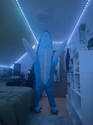 A post by @loic.prvs on TikTok caption: 🦈🕺🏼#shark #pourtoi #fyp #humour #dance #viral #fypシ゚ 