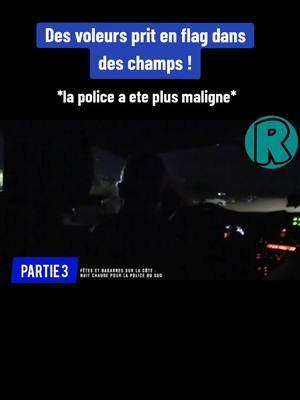 A post by @les.reportages.fr on TikTok caption: Partie 3 / Police municipale dans un été pleins de rebondissements ! #police #municipale #plage #été #sauvetage #reportage 