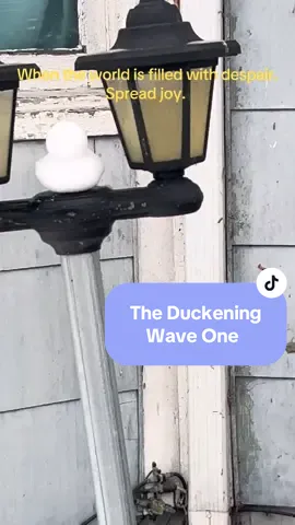 A post by @starfallwitchery on TikTok caption: XOXO, The Duck Bandits  #CapCut #snowducks #duck #snowday #snow #hopecore #hope #joy #fyp 