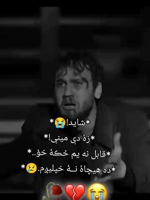 A post by @zekrullah603 on TikTok caption: #مسافری_سختہ__خواری_دہ #😭😭👈👈😭😭👈😭😭👈 #دردیدلی_زړه💔😭💔😭نیمگړی_هیلی #💔💔💔💔💔💔💔 