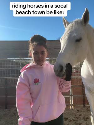 A post by @ashxxcooper on TikTok caption: oh… u rode a pony at a fair once? cool ig! #horse #horses #horsesoftiktok #equestriansoftiktok #equestrianproblems #fyp #equestrian #horsegirl #horseshow 