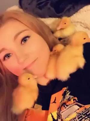 A post by @thatfarmchick on TikTok caption: Oh the baby ducks 🩷 when I first got into posting on this app, I’m not ready for it to leave :( 