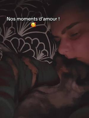 A post by @ynemar25 on TikTok caption: Bébé d’amour 🫶🏼 #chien #mignon #amour #complicité #dijon #wlw 