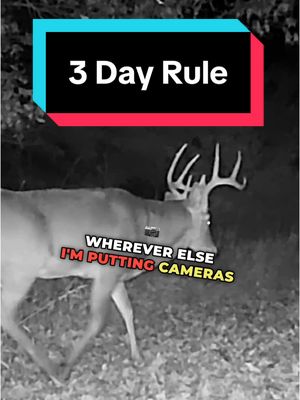 A post by @raisedhunting on TikTok caption: If you are just missing your target buck, do you think moving your cameras every 3 days is too quick? #hunting #deerhunting #huntingtiktok #deerseason #huntingseason #podcast #podcasttiktok #trailcamera #trailcam #bowhunting #scouting #archery #strategy #tips #tipsandtricks #bigbucks #whitetails #whitetaildeer #whitetail #fyp #4upage