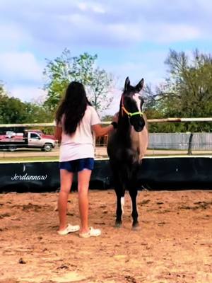 A post by @jordannaw on TikTok caption: 🖤✨ #heart #Love #nowandthen #beauty #friend #grullo #horses #horsesoftiktok #lovemyboy #fyp #tiktok 