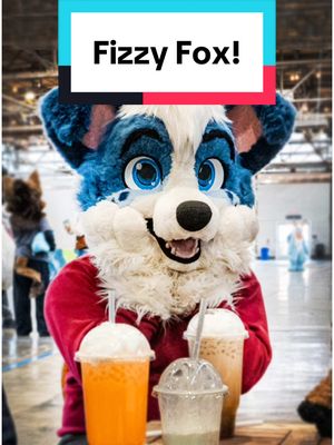 A post by @littlealphapup on TikTok caption: Had such a fun time at the @Fizzy Fox Soda Shop ! I can’t wait to visit again! #furry #furryfandom #littlealphapup #soda  @Khajiit Kitty 