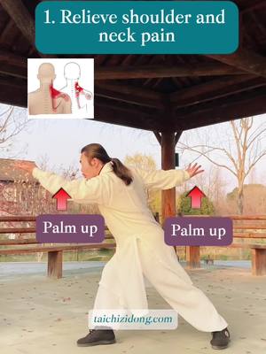 A post by @wudang.zidong on TikTok caption: Specific exercise improve symptoms, daily full-body exercises remove root causes.#taichi #tcm #healthylifestyle #exercise #meridian #chineseculture #shoulders #neckpain #backpain #brain #fatigue #dizziness 