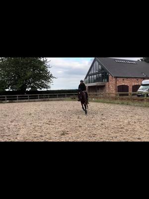 A post by @42performancehorses on TikTok