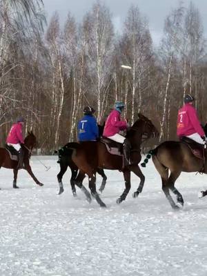 A post by @alexandra_donskaya on TikTok caption: polo atmosphere 😍 #popular 