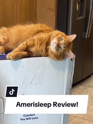 A post by @fourjollypets on TikTok caption: Amerisleep is changing the bed game! We’ve had our @Amerisleep split king mattress for a few months now and the jollys highly recommend this bed! The cooling technology, fiberglass free memory foam mattress AND the 20 year warranty just makes the deal even sweeter! Have you ever wondered what it’s like to get a split king? If you constantly bicker about your partner hogging up your side, get a SPLIT! And if you get a split, you can also get a split adjustable bed base frame and each of you can adjust to your own sleeping needs! Thank you, Amerisleep! You can use code: PETSLEEP500 to save $500! Treat yourself and your pet to better sleep! 🐾 #PetFriendly #Amerisleep 