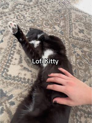 A post by @xoleahbabyxo on TikTok caption: I put on Lofi and Bijou lays down and starts rolling around 🥰 #happycat #rescuecat #catsoftiktok 