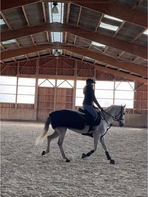 A post by @majollyjumper on TikTok caption: On espère de tout cœur réussir car c’est un enjeux de taille ! 🫶🏼 #equitation #horse #jeunecheval #equestrian #connemarapony #cavaliere #horses 