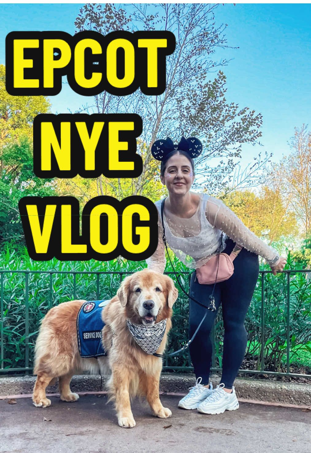 A post by @leviatyourservice on TikTok caption: Happy new year from our boy dogs to yours✨ #epcotnye #goldenretriever #standardpoodle #servicedog 