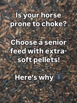 A post by @bluebonnet.feeds on TikTok caption: Is your horse prone to choke? 🐴 👉 First things first: Make sure to get their teeth checked if you haven’t done so in the last 6-12 months! Choke often happens when horses can’t properly chew their feed before swallowing. 👉 Next, choose the right feed. Pellet size and softness matters! Many senior feeds, like Intensify Senior Therapy, are made with extra-soft pellets that are easier to chew and digest, helping to reduce the risk of choke. ✅ 🌟Pro tip: For added precaution, you can soak or wet the feed to create a mash before feeding.