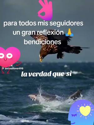 A post by @chalino502_oficial on TikTok caption: es muy cierto mi gente 