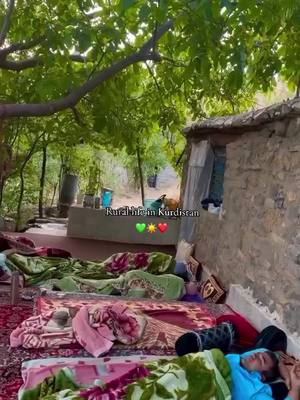 A post by @7i6ok on TikTok caption: Rural life in Kurdistan...☀️#7i6ok #7i6ok 