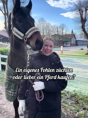 A post by @horsediaries.de on TikTok caption: Eigentlich kann ich ein eigenes Pferd im Jahr 2025 überhaupt gar nicht mehr empfehlen, egal wo es rausgekommen ist 😂😂😂 würdet ihr gerne selbst züchten? #eigenespferd #dressurpferde #reitsport 