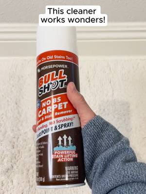 A post by @bulbhead_ideas on TikTok caption: This stain remover is a life saver!! #Cleaning #CleaningTool #CleaningHacks #Pets #stainremover