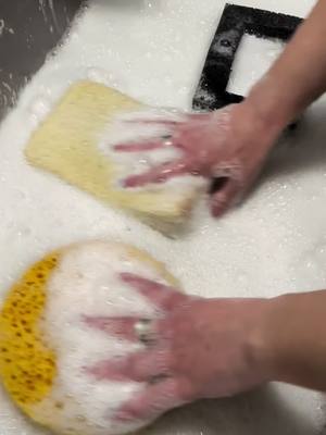 A post by @cleancorner on TikTok caption: Rinse to @CleanCorner  well… should we do one last live tomorrow?! #fyp #spongesqueezing #CleanTok #asmr #asmrsounds #spongesqueezingasmr #waterysqueezes #rinse 