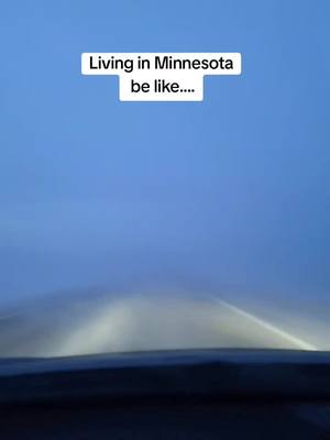 A post by @lady_b_90 on TikTok caption: #minnesota #fyp 