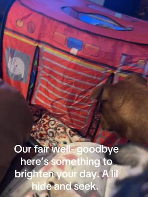 A post by @jenniferbishop36 on TikTok caption: #dogsoftiktok #fypシ゚viral #goodbye #ticktock 