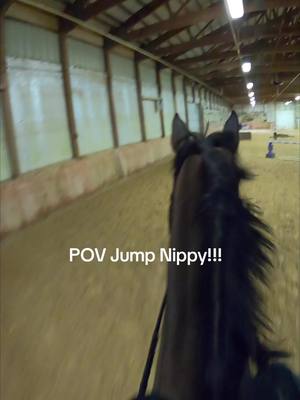 A post by @heatherterdan on TikTok caption: POV NIPPIN JUMPIN. he's so amazing!!!