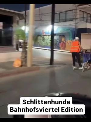 A post by @bossiforzasge on TikTok caption: Schlittenhunde in FFM 069 #djbossi73 #funny #fun #for #foryou #djbossi 