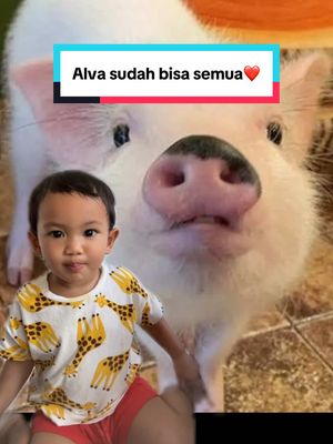 A post by @ibnuwardani on TikTok caption: Udah bisa romantis🥹❤️ @Lita🐣 @Alvarazka Antarsukha Wardani 