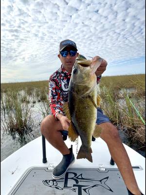 A post by @urbanfloridafishing on TikTok caption: I called JP and asked him if he wanted to jump on my skiff and go fishing with me. He replied, “Only if we go catch gorillas.” I told him, “Don’t threaten me with a good time”😂 He told me there is 10-12lb monsters lurking in those flats! Now I’m on a mission to fish those grass flats and find that 12lb gorilla💪The bait I’m using is my 5.5-inch Snarpon swimbait, available in my shop. I had it rigged with a BKK 10/0 swimbait hook! My skiff is the mosquito from @beavertailskiffs 🔥 Send @Jp Mckay Basswhisper a message for more information on fishing trips #urbanfloridafishing #southfloridafishing #floridafishing #fishingvideos #bassfishing #freshwaterfishing #fishing #evergladesfishing #grassflatsfishing #beavertailskiffs #freshwaterfishing #snarponswimbait 