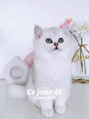 A post by @dumondebripearls on TikTok caption: #cejour-là 