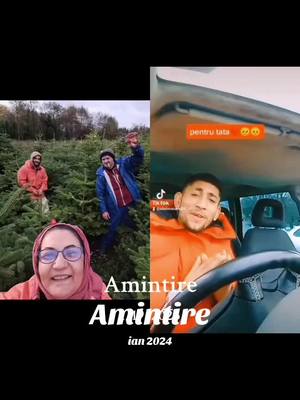 A post by @a_venit_bogdan_andrey on TikTok caption: #amintire