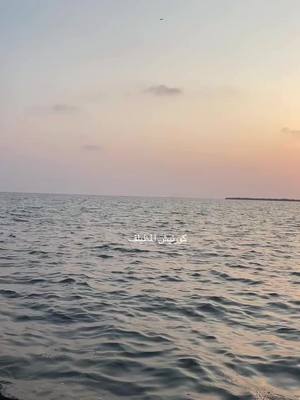 A post by @saleh__alghamdi on TikTok caption: #مساء_الخير #المظيلف #القنفذة #السبت #تصويري 