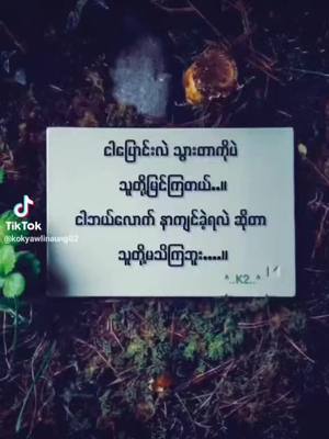 A post by @eieiphyu909 on TikTok