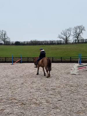 A post by @libbypartridge.equine on TikTok caption: such a good boy 