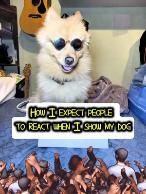 A post by @yogisinsta6 on TikTok caption: How I expect people to react when I show my dog #dog #funny