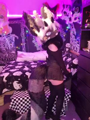 A post by @baileystarpup on TikTok caption: 👻🪦 #ukfurry #scottishfursuiter #Scottishfurry #fursuit #furry #furryfandom #furrytiktok #kemonofursuit #rednote #Scotiacon #Scotiacon25 #Scotiacon2025 