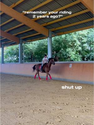 A post by @dressurprincess on TikTok caption: Jetzt ist der kleine schon bald 5 Jahre 😍 #vollblüter #jungpferdeausbildung #foryoupage #fy #jungpferd 