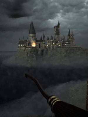 A post by @parkerlocke on TikTok caption: One last post for one of my favorite videos I’ve done so far… Harry Potter! Huge thanks to everyone whose supported me over the past few years! #fyp #xyzbca #harrypotter #dragon #tiktokban #3danimation #vfx 