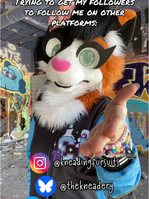 A post by @felixthecalico on TikTok caption: Follow me, maybe? 🥺 If you’re a fursuit maker, I’d LOVE to follow more makers!!! 🙌 #furry #furryfandom #furrycommunity #fursuit #fursuitmaker #fursuitmaking #fursuiter #fursuiting #fursuitmakers #fursuitmakersoftiktok #fursuitmakersofinstagram #furryfyp #fyp #foryou 