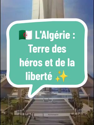 A post by @infos_fr24 on TikTok caption: Découvrez les paroles des grands hommes qui ont salué la grandeur de l'Algérie, ce pays qui a marqué l'Histoire et les âmes par son courage, sa résistance et son rayonnement. 🇩🇿✨Découvrez ce que Nelson Mandela, Gandhi, Che Guevara, Yasser Arafat et bien d'autres grands leaders et penseurs ont dit sur l'Algérie 🇩🇿, terre de liberté et de gloire.#algérie #historique  #Histoire #Inspiration 🌟 #Résistance 💪 #Liberté 🌍 #Fierté #GrandsHommes #Patrimoine #NelsonMandela #Gandhi #CheGuevara #YasserArafat #FidelCastro @Info Express 