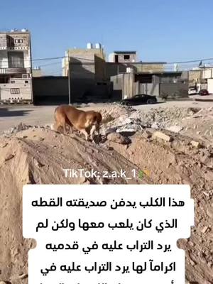 A post by @z.a.k_1 on TikTok