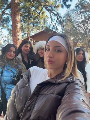 A post by @naliuh on TikTok caption: made it to big bear 🐻 #bigbear #snow 