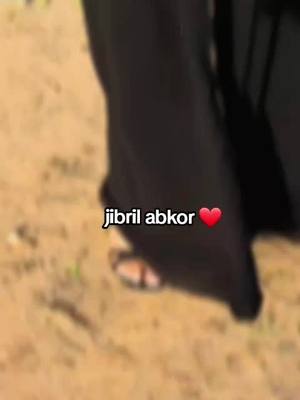 A post by @hodaneyyyyy on TikTok caption: #jibril abkor #gibley #