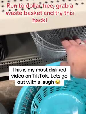 A post by @ny71222 on TikTok caption: its not that bad! 😆 #homehacks #dollartreehacks #dollartree #dollartreediy #organization 