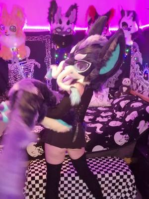 A post by @baileystarpup on TikTok caption: 🐉🐉🐉 #ukfurry #scottishfursuiter #Scottishfurry #fursuit #furry #furryfandom #furrytiktok #kemonofursuit #dragonfursuit 