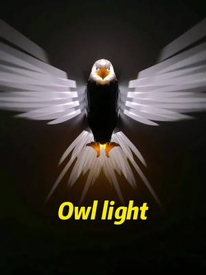 A post by @magibyte0 on TikTok caption: Soooooo coolllll!!!!#light #owl #eagles 